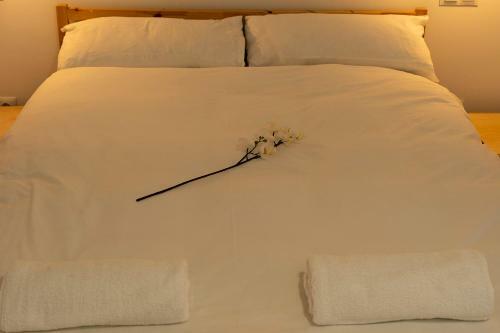 Apartamento La Linterna De San Lorenzo