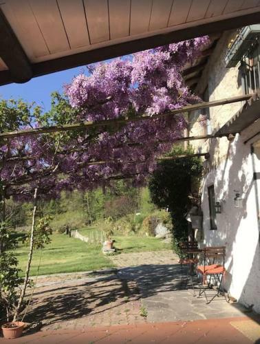 Apartamento Country House