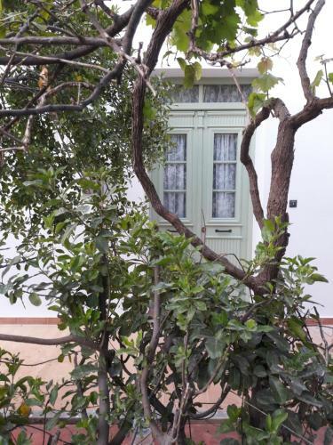 The House With The Garden