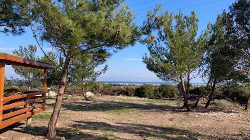 Nefes Urla Bungalov