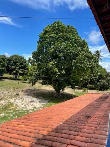 Hostal Pousada Flor De Alecrim