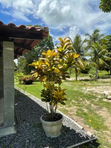Hostal Pousada Flor De Alecrim