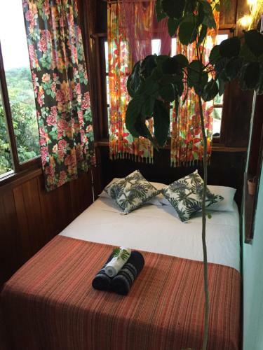 Hostal Casa Do Mato Itacar�