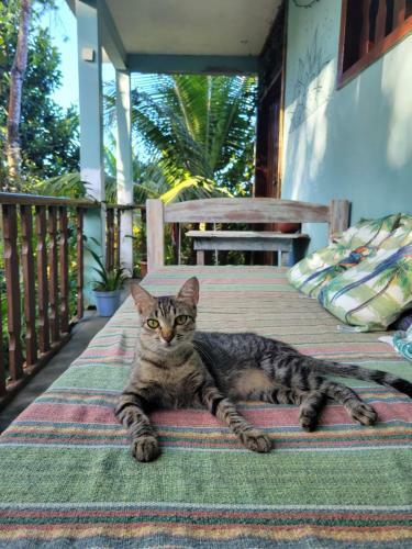 Hostal Casa Do Mato Itacar�
