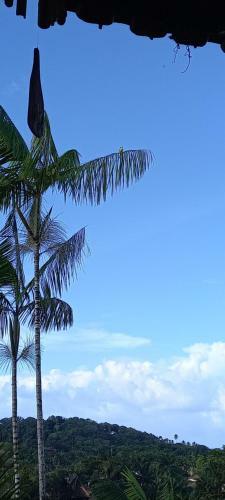 Hostal Casa Do Mato Itacar�