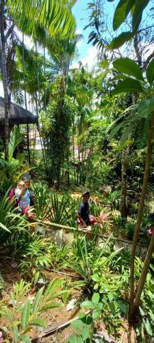 Hostal Casa Do Mato Itacar�