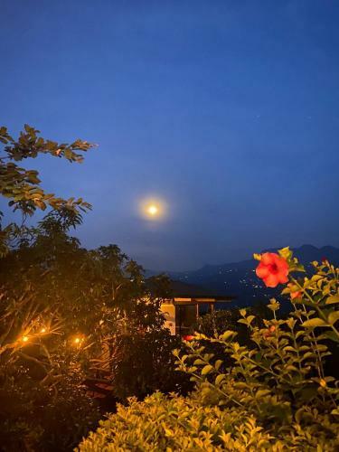 Glamping Entrearboles - Bellavista