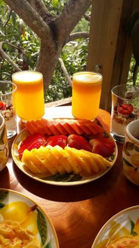Glamping Entrearboles - Bellavista