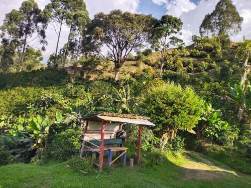 Finca Cafetera El Coral 2