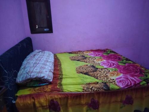 Kawah Ijen Guest House