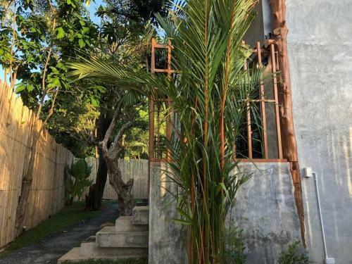 Apartamento Comfortable Studio Near The Beach - Macuco B