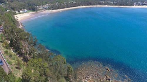 Happy Ours - Patonga Beach