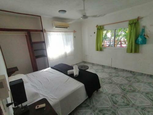 Casa Buena Onda