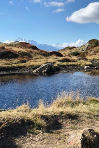 Apartment Nido Alpino