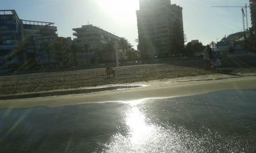 Apartamento Voramar Primera Linea De Mar