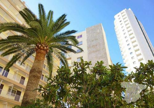 Costablancadreams Apartment Rosa