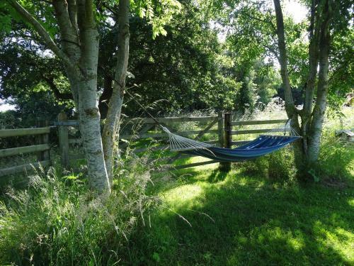 The Oaks Glamping - Jasper's Shepherds Hut