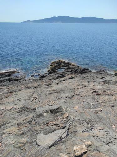 Blue Horizon View