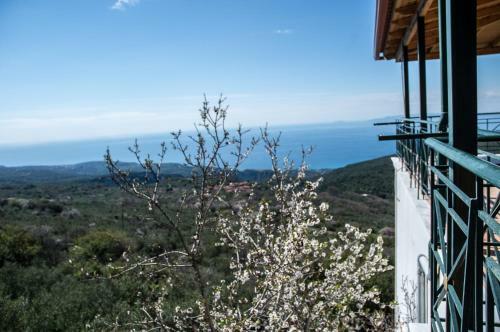 Dimos-mani Wonderful View