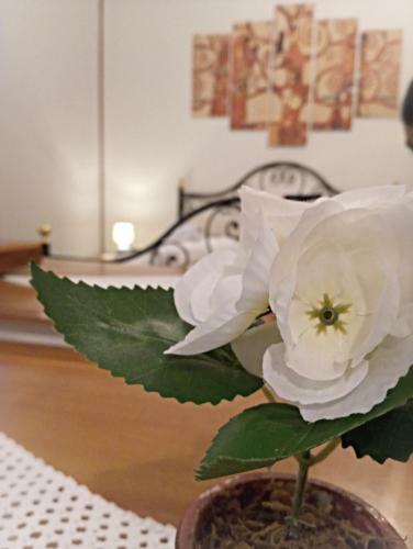 Apartamento Sotto Le Mura