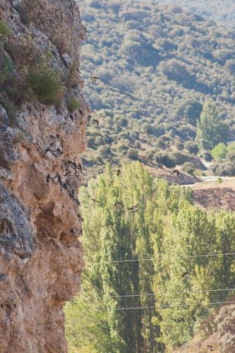 Hostal Hotel Rural Las Abadias