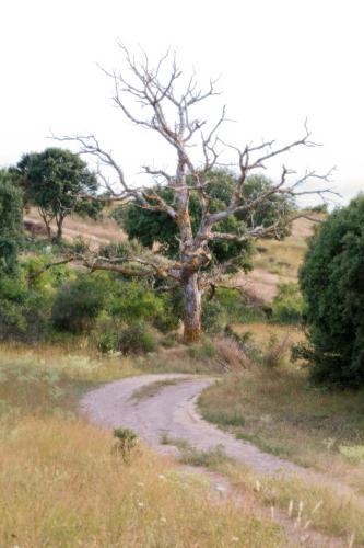 Hostal Hotel Rural Las Abadias