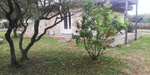Apartamento De Pierre Et De Bois