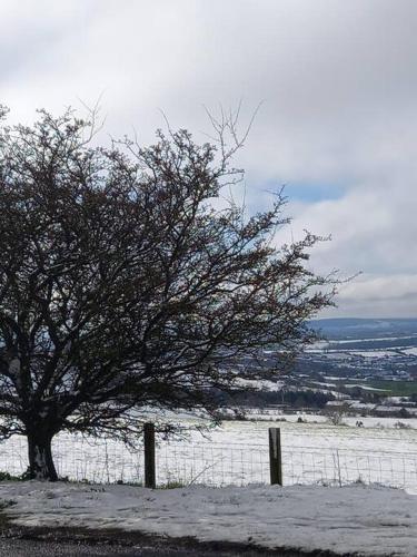 Dale's Edge - Self Catering In County Durham.
