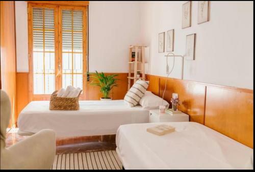 Apartamento Sunshine Mezquita