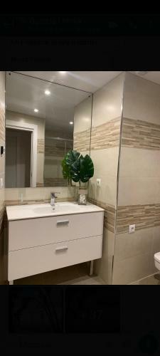 Apartamento Cordoba Luxury Home