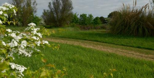 Hostal Rose Canine B&B