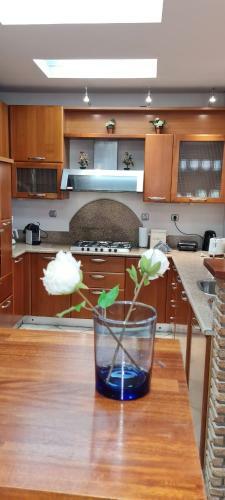 Apartamento 'the Seagull' Traditional Cottage