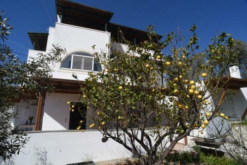 Apartamento Bernie House 2