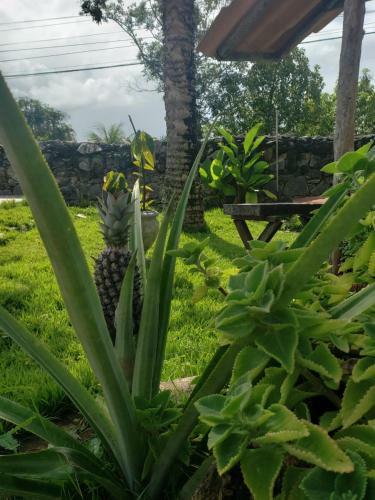 Hostal Pousada Bella A�ucena
