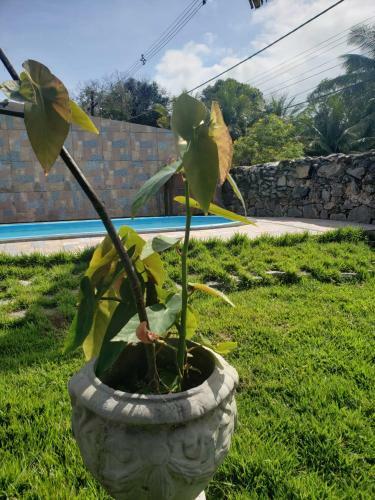 Hostal Pousada Bella A�ucena