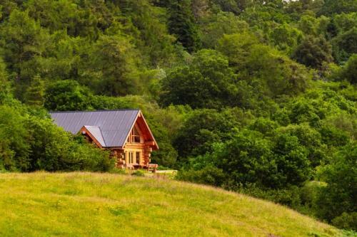 Wild Nurture Eco-luxury Log Cabin