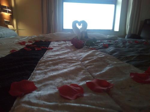 Olimpia Hoteles