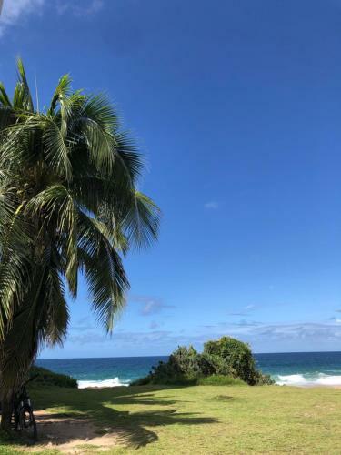 Apartamento Auge Da Bahia