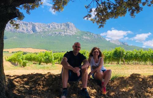 Apartamento Ruta Del Vino