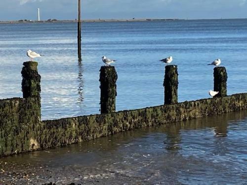 Seaview B&B