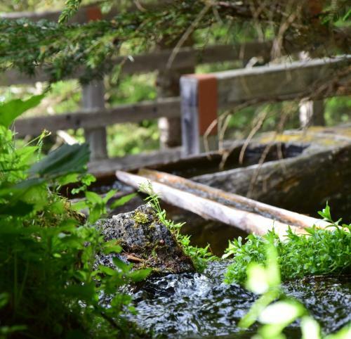 Hotel Badl Im M�hlbacher Talile