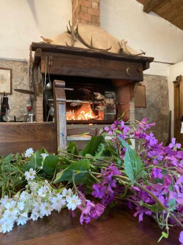 Agroturismo Agriturismo Poggio Alla Luna