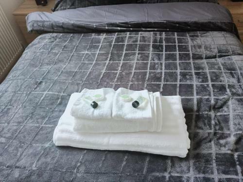 Hostal Park Lodge