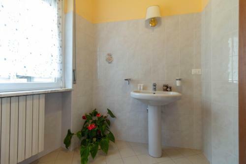 Apartamento La Pineta - Le Casette Di Osvaldo