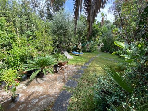 Apartamento Le Dimore Di Zaro