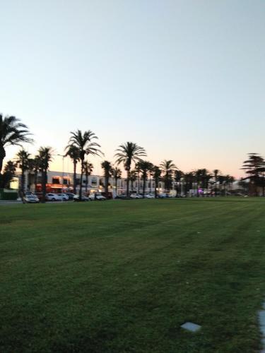 Apartamento Playa La Pineda Punta Prima