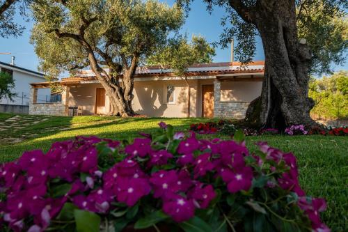 Apartamento Il Mirto Residence