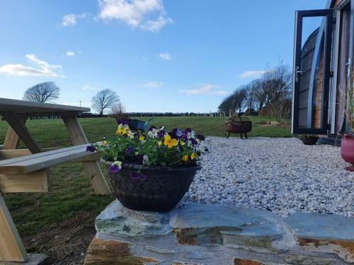 Apartamento Rowan - Luxury Glamping Pod Laneast Cornwall