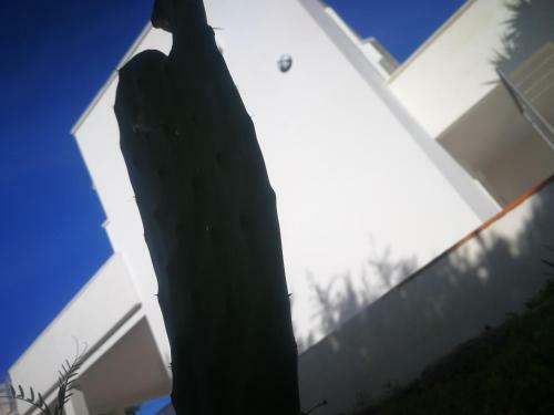 Ninnihouses