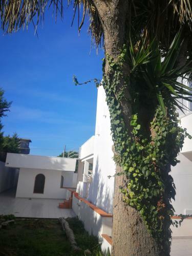 Ninnihouses